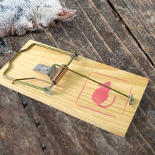 Wooden Mouse Rat Traps (1 Pc)